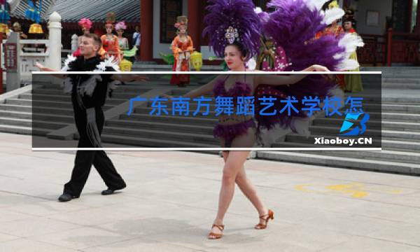 广东南方舞蹈艺术学校怎么样图片