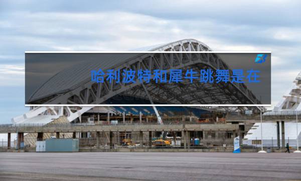 哈利波特和犀牛跳舞是在哪里