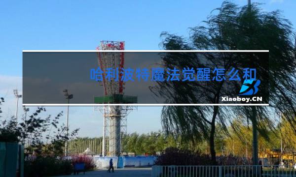 哈利波特魔法觉醒怎么一个人跳舞