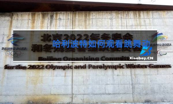 哈利波特如何观看跳舞动画