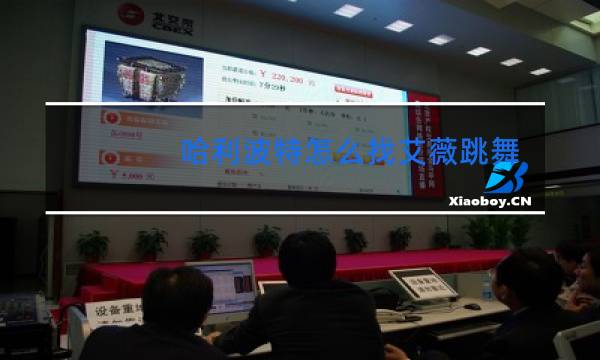 哈利波特怎么找艾薇跳舞