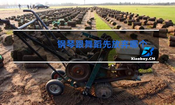 钢琴跟舞蹈先放弃哪个