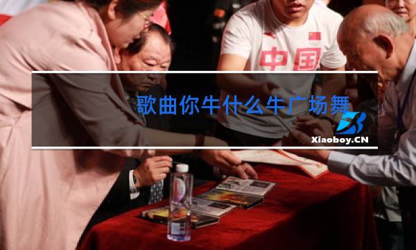 歌曲你牛什么牛广场舞图片