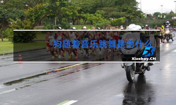 狗随着音乐跳舞是为什么