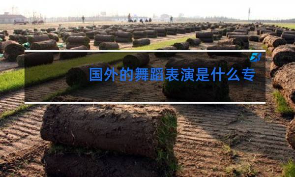 国外的舞蹈表演是什么专业图片