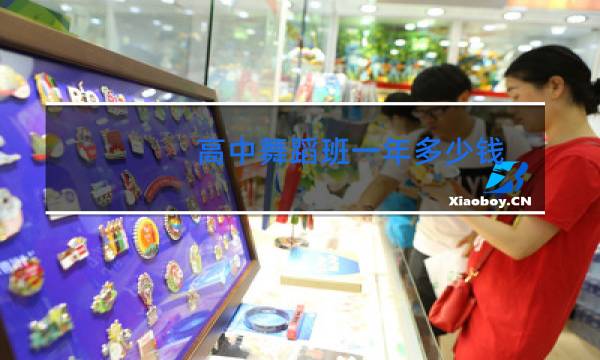 高中舞蹈班一年多少钱图片