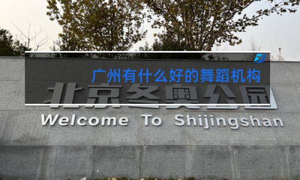 广州有什么好的舞蹈机构