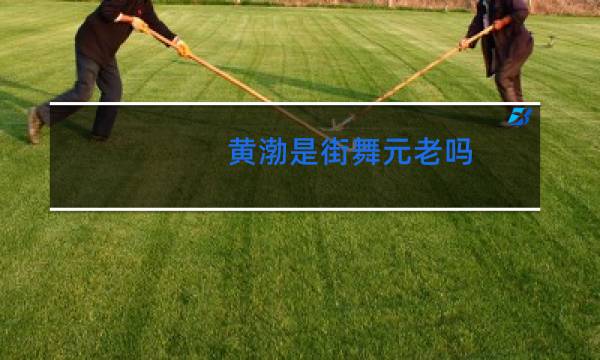 黄渤是街舞元老吗图片