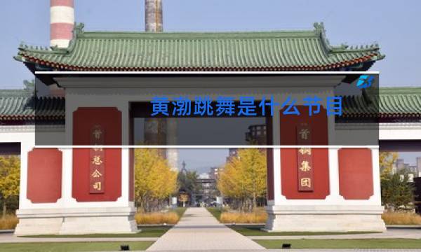 黄渤跳舞是什么节目