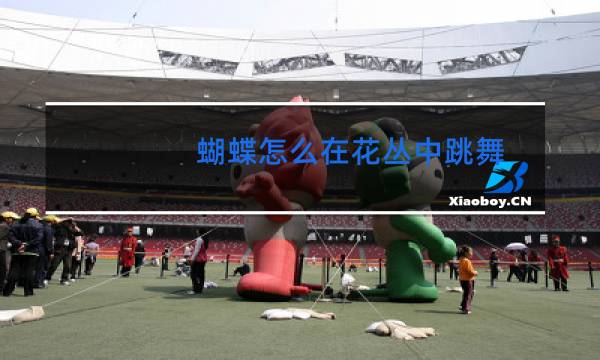 蝴蝶怎么在花丛中跳舞