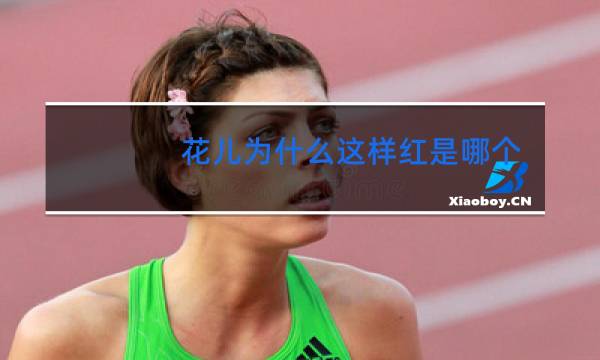 花儿为什么这样红是哪个民族的舞蹈