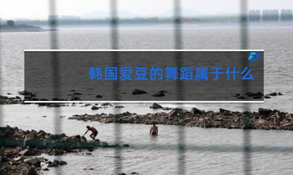 韩国爱豆的舞蹈属于什么舞