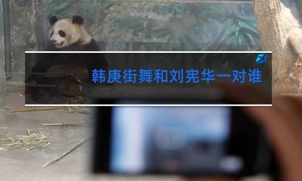 韩庚街舞和刘宪华一对谁