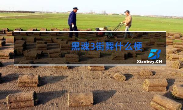 黑魂3街舞什么梗