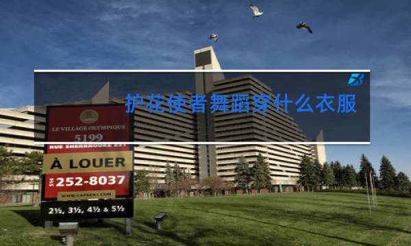 护花使者舞蹈穿什么衣服