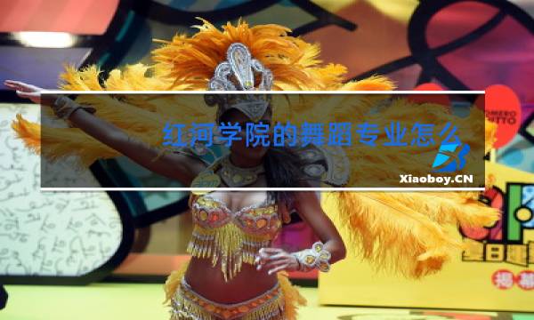红河学院的舞蹈专业怎么样