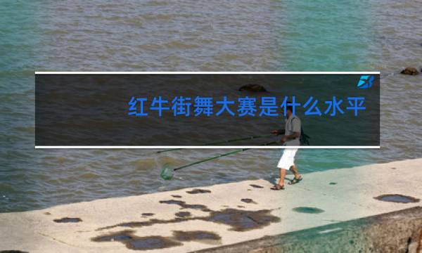 红牛街舞大赛是什么水平图片