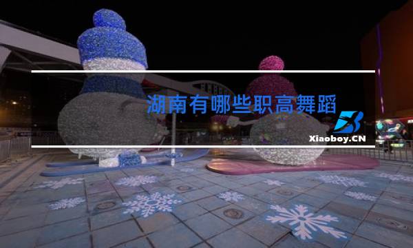 湖南有哪些职高舞蹈