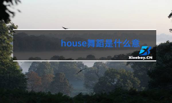 house舞蹈是什么意思