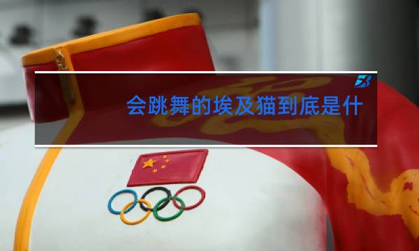 会跳舞的埃及猫到底是什么