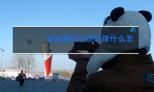 会跳舞的小树叶像什么怎么写