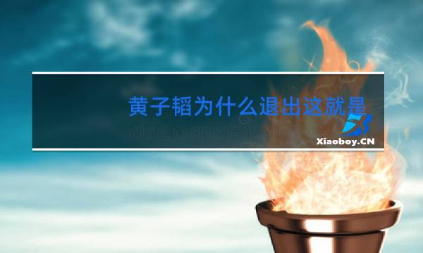 黄子韬为什么退出这就是街舞第二季