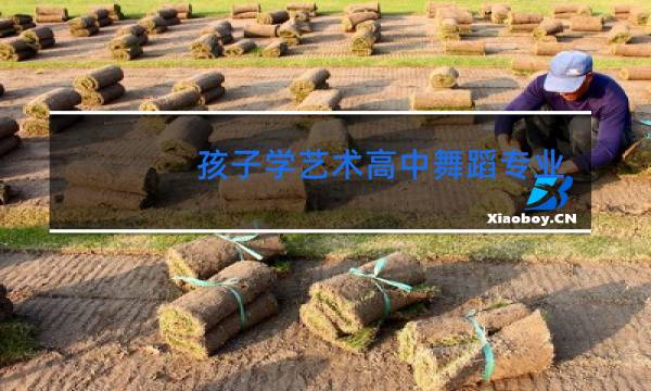 孩子学艺术高中舞蹈专业好吗