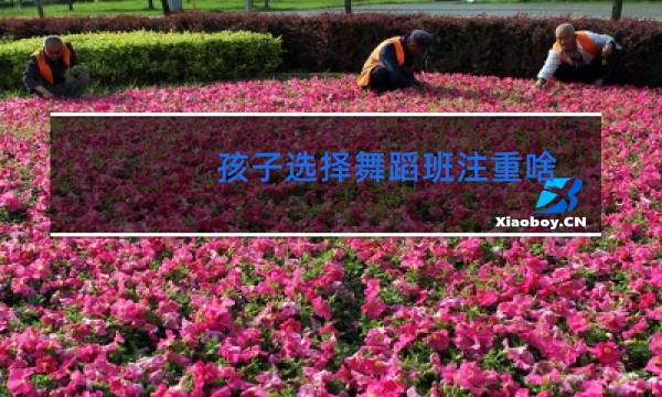 孩子选择舞蹈班注重啥