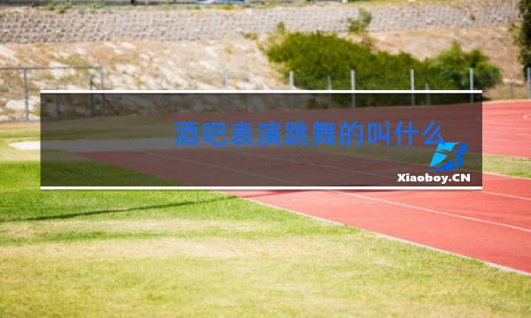 酒吧表演跳舞的叫什么