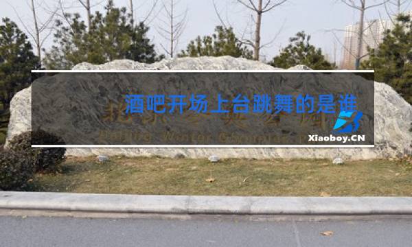 酒吧开场上台跳舞的是谁
