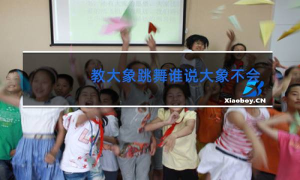 教大象跳舞谁说大象不会跳舞