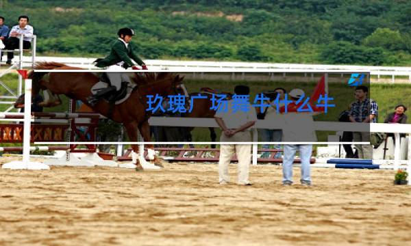 玖瑰广场舞牛什么牛