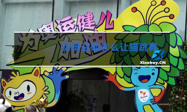 剑灵召唤怎么让猫跳舞