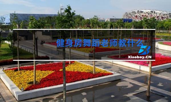 健身房舞蹈老师教什么