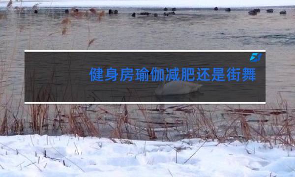 健身房瑜伽减肥还是街舞减肥图片