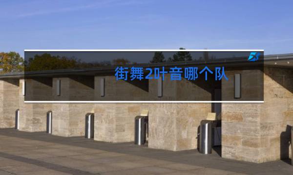 街舞2叶音哪个队