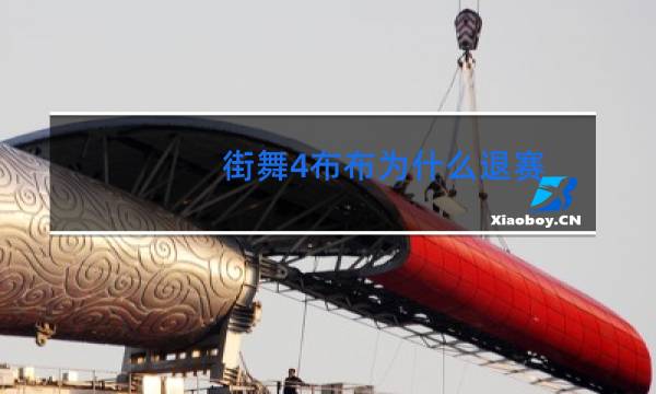 街舞4布布为什么退赛