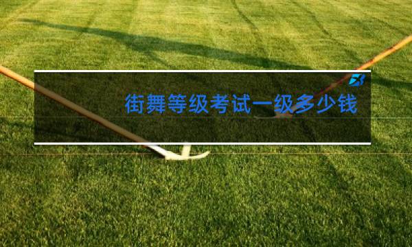街舞等级考试一级多少钱