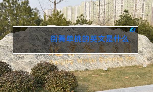 街舞单挑的英文是什么