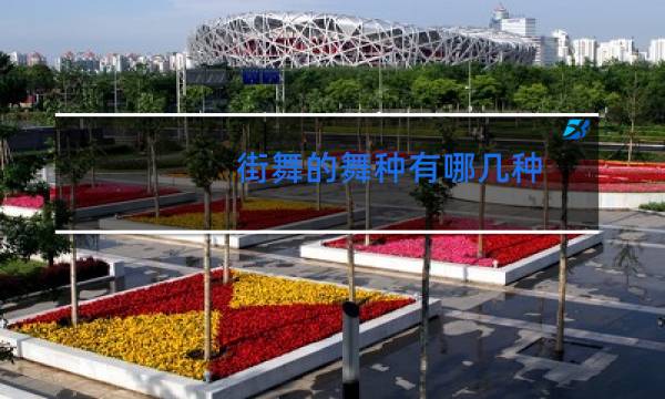 街舞的舞种有哪几种