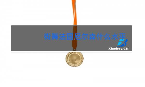 街舞法国尼尔森什么水平图片