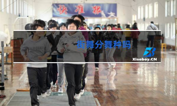 街舞分舞种吗