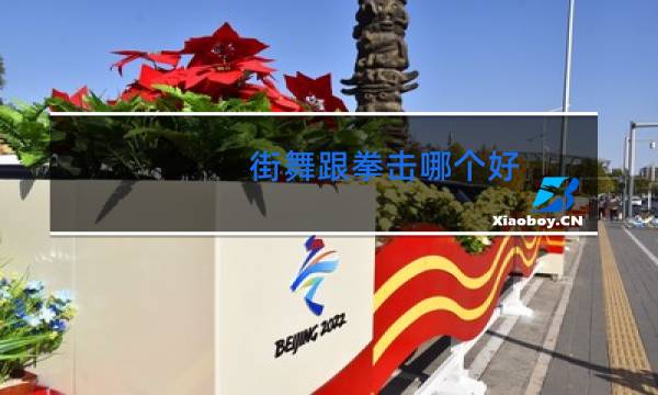 街舞跟拳击哪个好