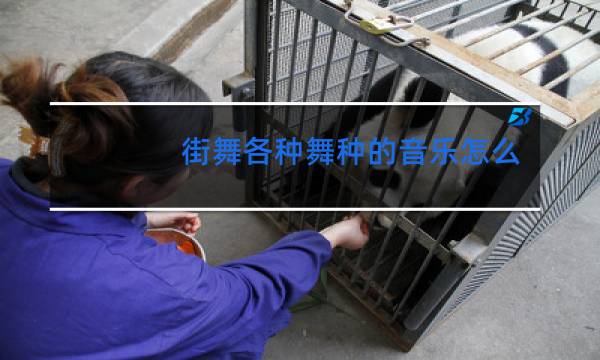 街舞各种舞种的音乐怎么听