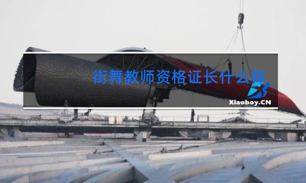 街舞教师资格证长什么样