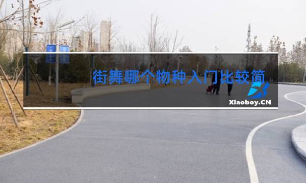 街舞哪个物种入门比较简单