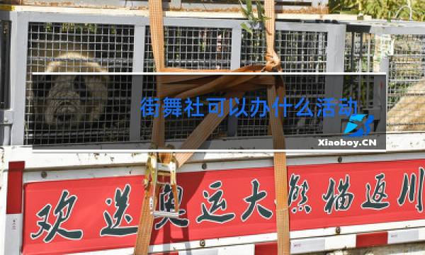 街舞社可以办什么活动