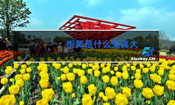 街舞是什么鬼真大