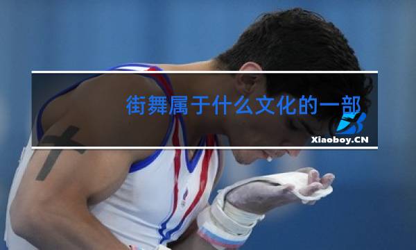 街舞属于什么文化的一部分