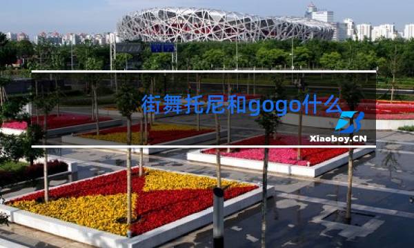 街舞托尼和gogo什么关系图片